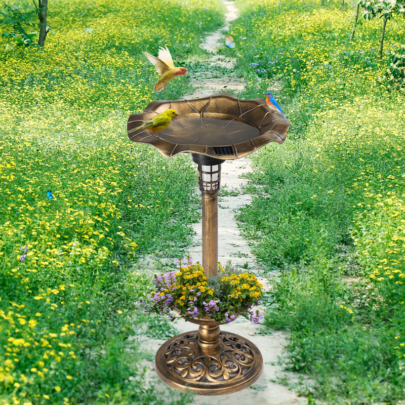 Fleur De Lis Living Outdoor Green Solar Lighted Pedestal Bird Bath